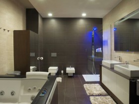 Stylish modern bathroom