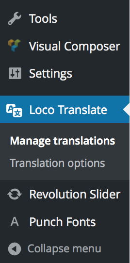 loco translate plugin