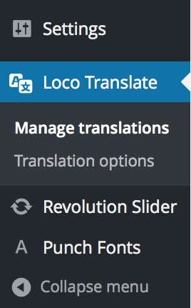 loco translate plugin